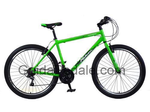 Falcon Progress scheda tecnica e recensioni